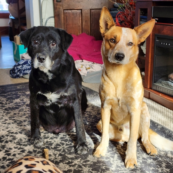 Meet your Posher, Jill - Picture 1 of 2